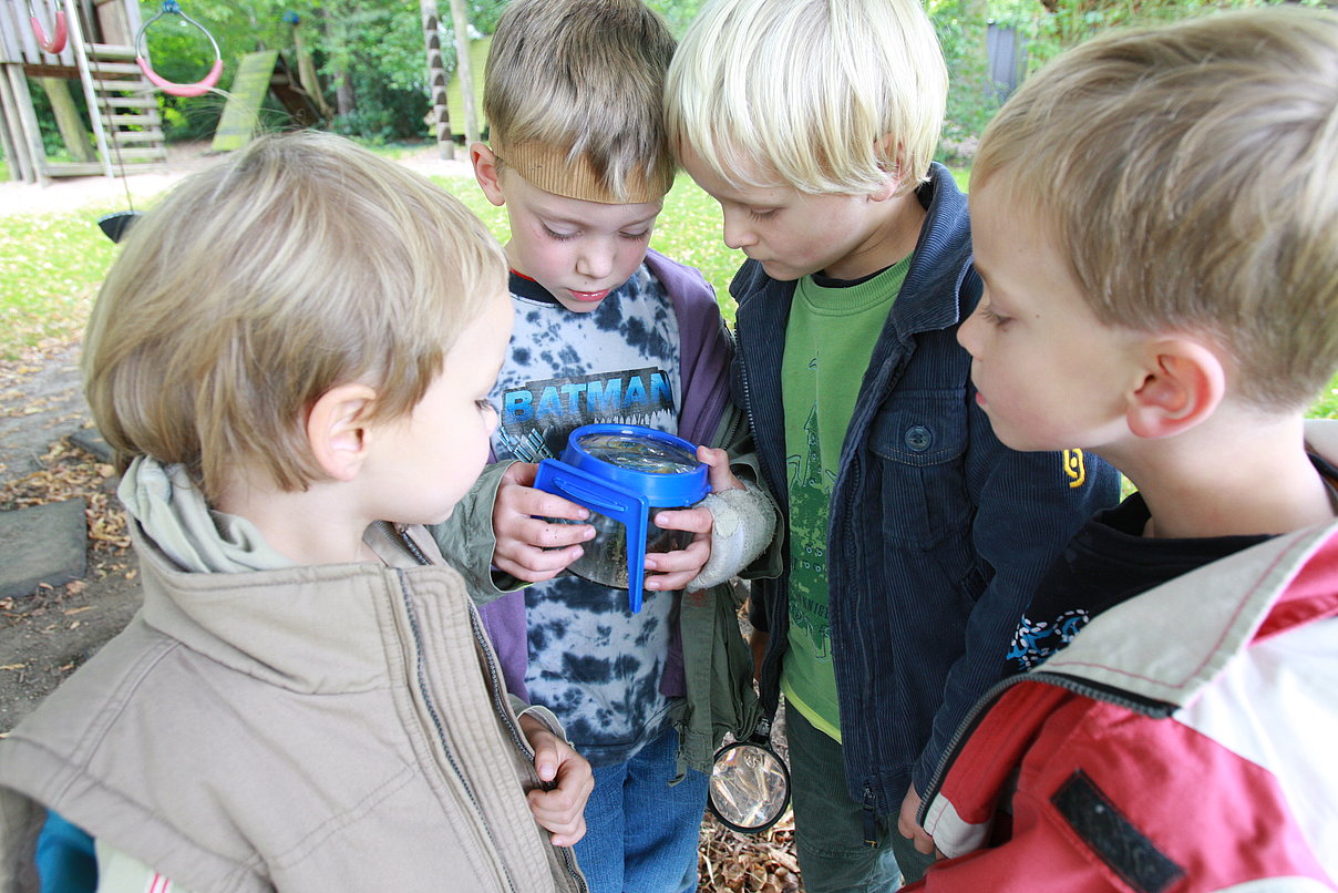 Kinder in der Natur mit Becherlupe