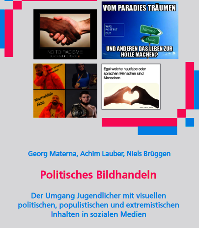 Ansicht: Politisches Bildhandeln - Der Umgang Jugendlicher mit visuellen, politischen, populistischen und extremistischen Inhalten in sozialen Medien" 