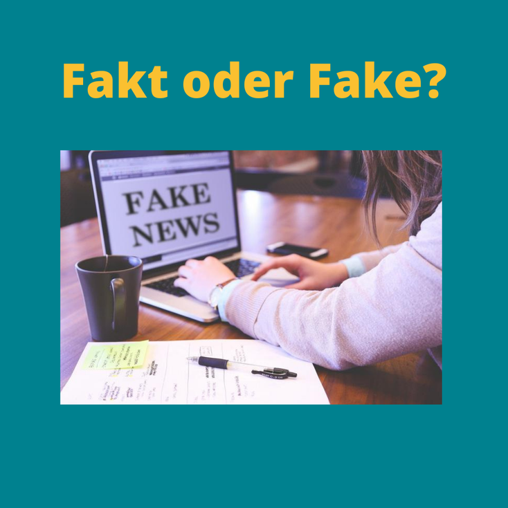Schreibtisch mit Laptop, auf dem Fake News zu lesen ist